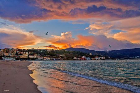 bandirea blu calabria